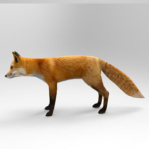 3D model fox