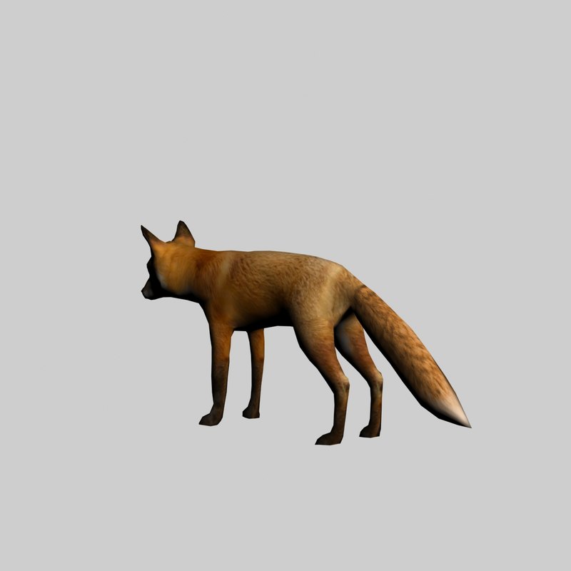 3D model fox - TurboSquid 1395052