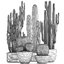 plants exotic cactus saguaro model