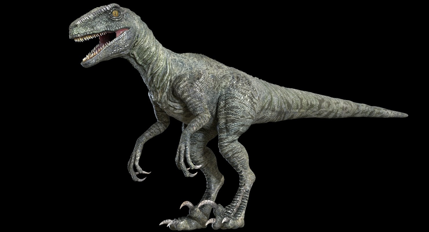 velociraptor in 3d