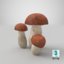 3D porcini mushroom model