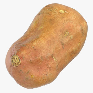3D sweet potato 02 model