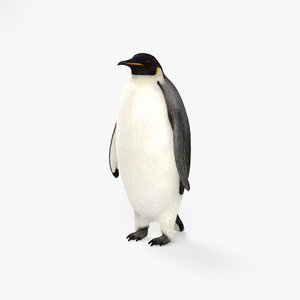 3D emperor penguin