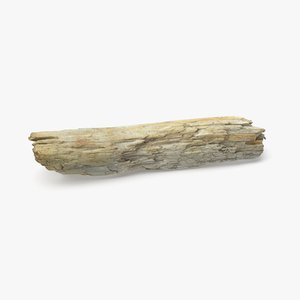 driftwood wood 3D