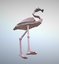 3D flamingo papercraft paper