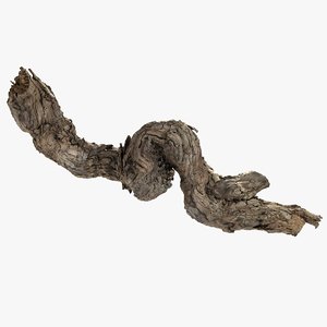 grapevine bark scanned 3D model