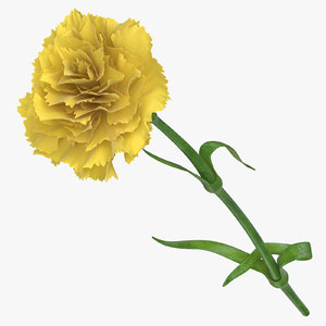carnation yellow - 3D model