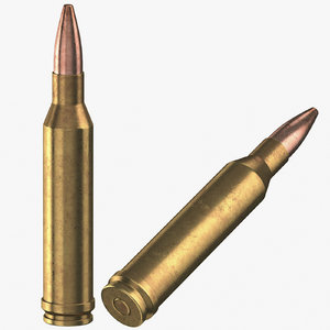 bullets 300 winchester 3D model
