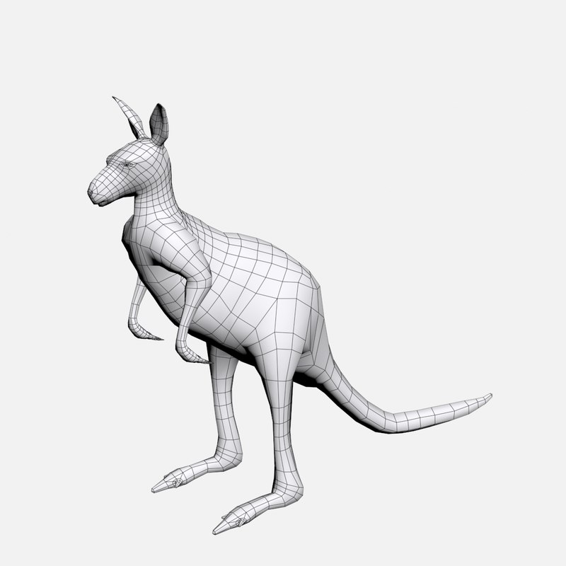 Kangaroo base 3D - TurboSquid 1396438