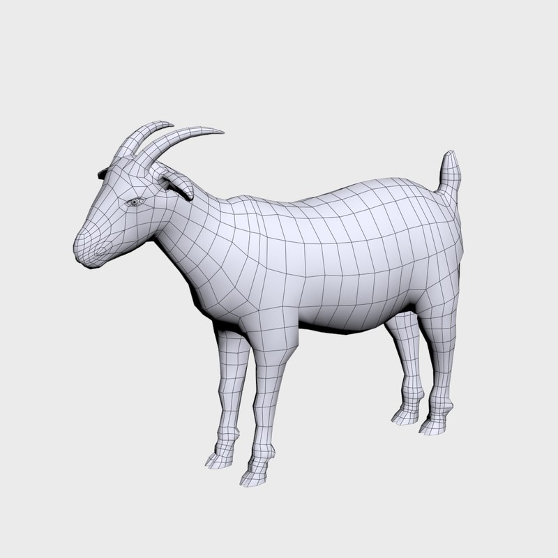 3D Goat Base - TurboSquid 1396436