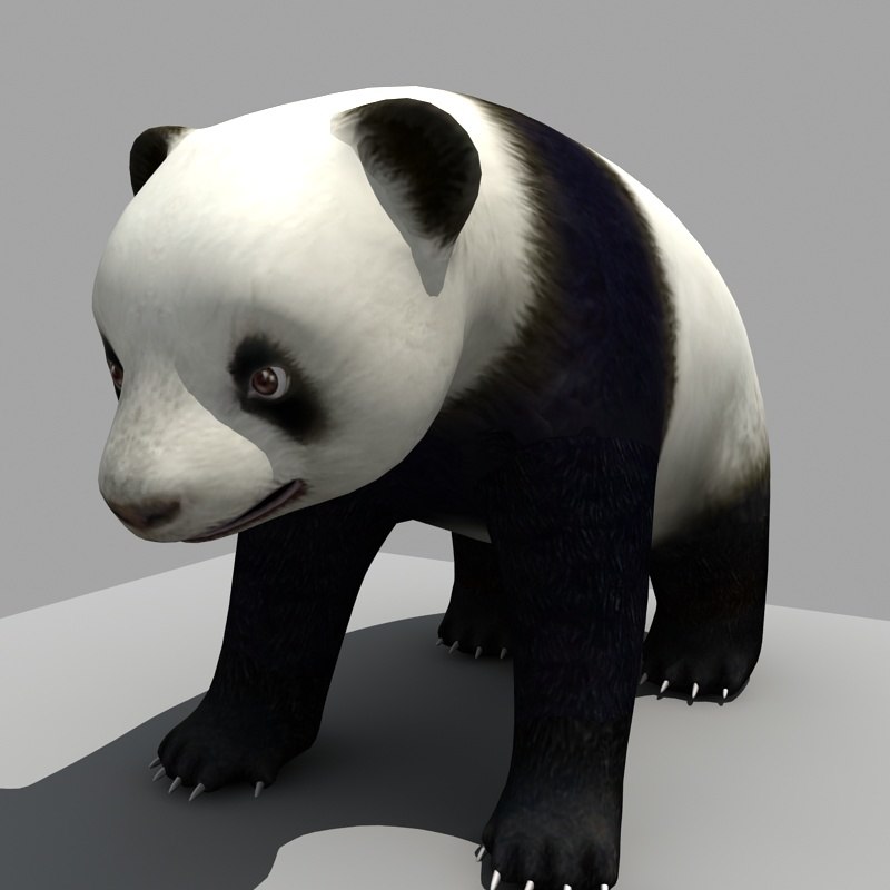 Panda 3D model TurboSquid 1396520