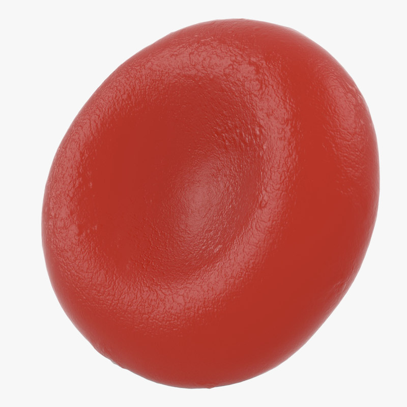 Erythrocyte Red Blood Cell Buy Royalty Free 3d Model By Medical