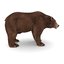 3D brown bear