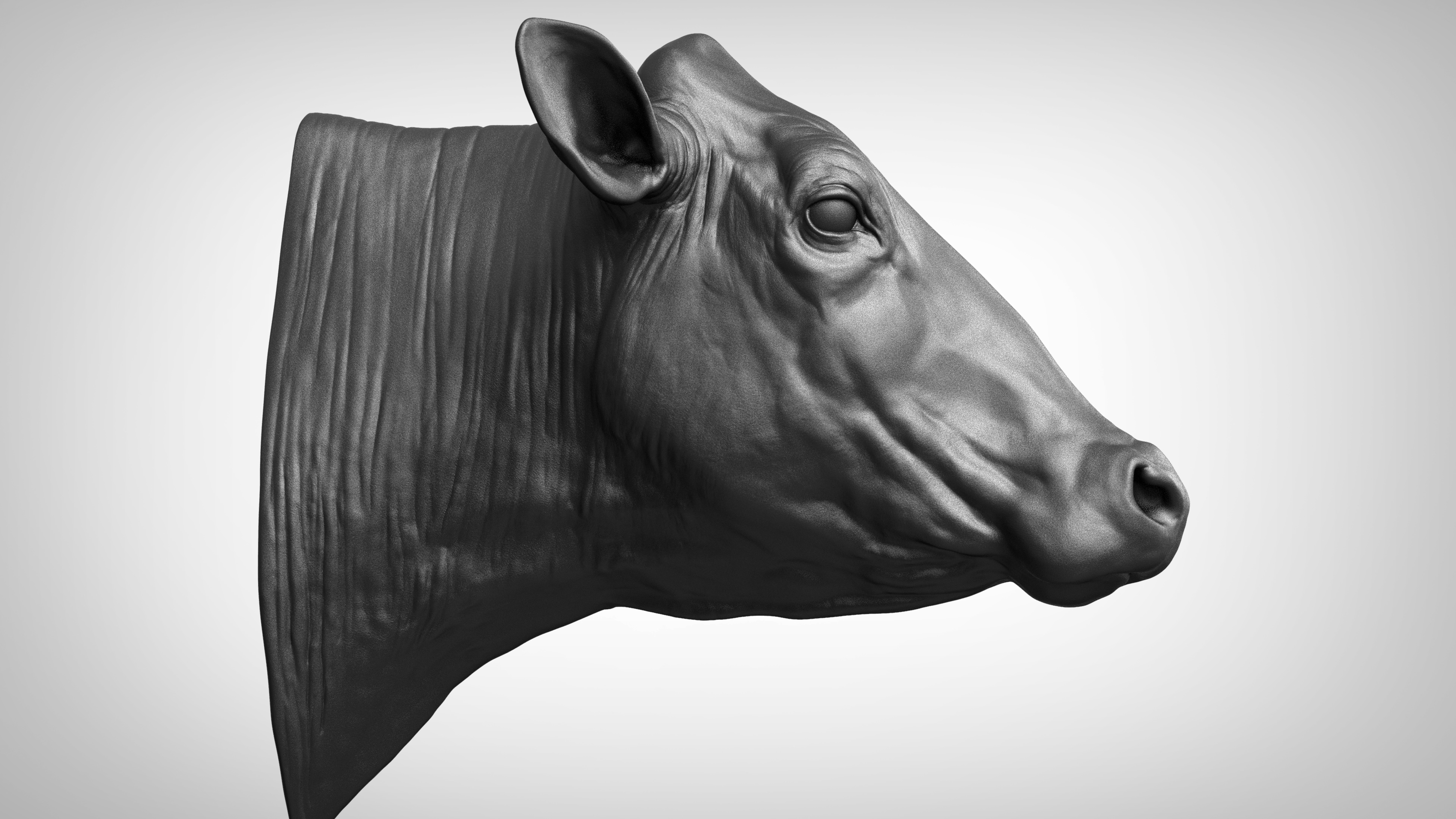 Cow head 3D TurboSquid 1396830