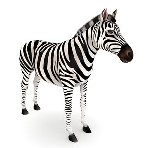 zebra 3D model