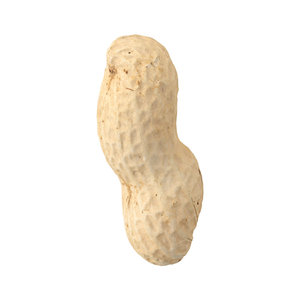 3D scanned peanut