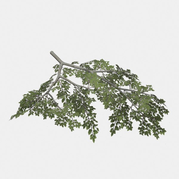 3D model rigged tree branch types TurboSquid 1397320