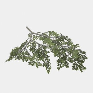 3D model rigged tree branch types