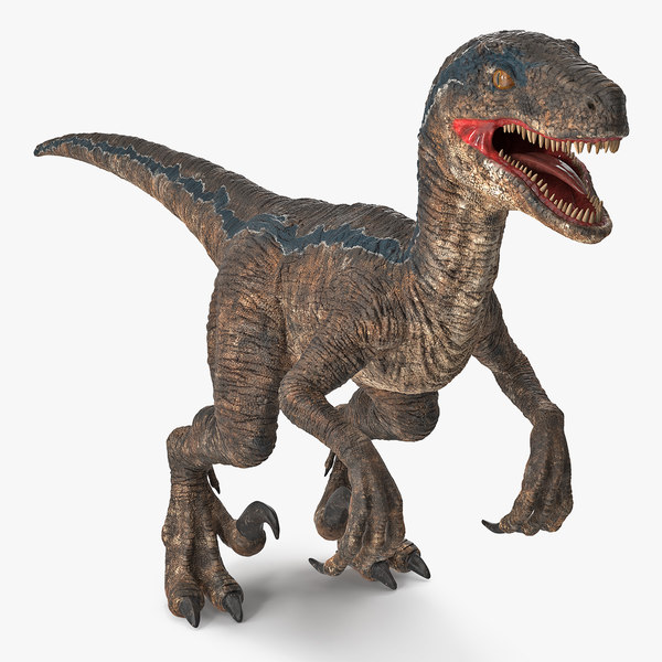 Velociraptor 3D Models for Download | TurboSquid