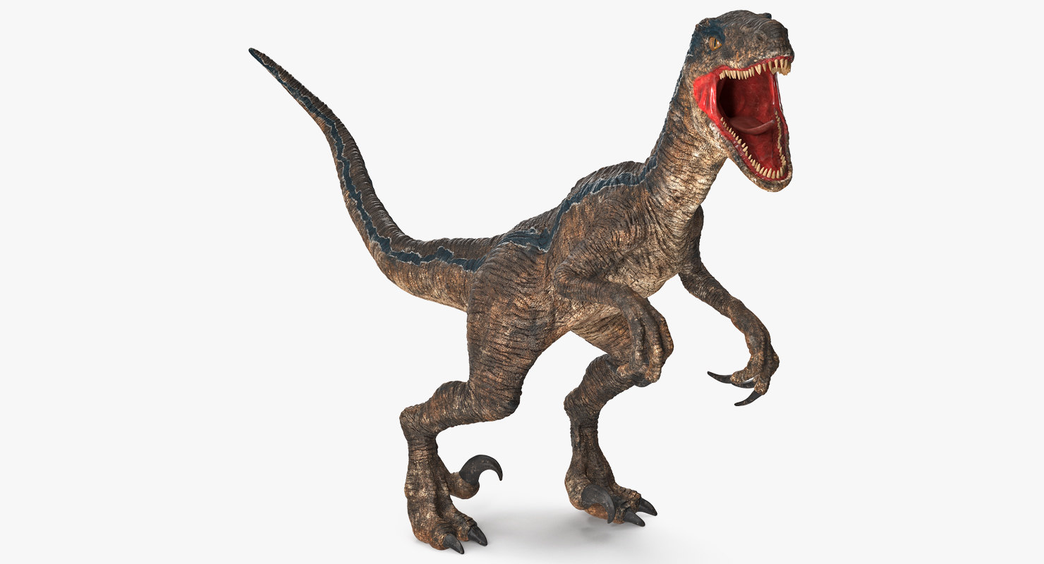 Velociraptor rigged 3D model - TurboSquid 1397683