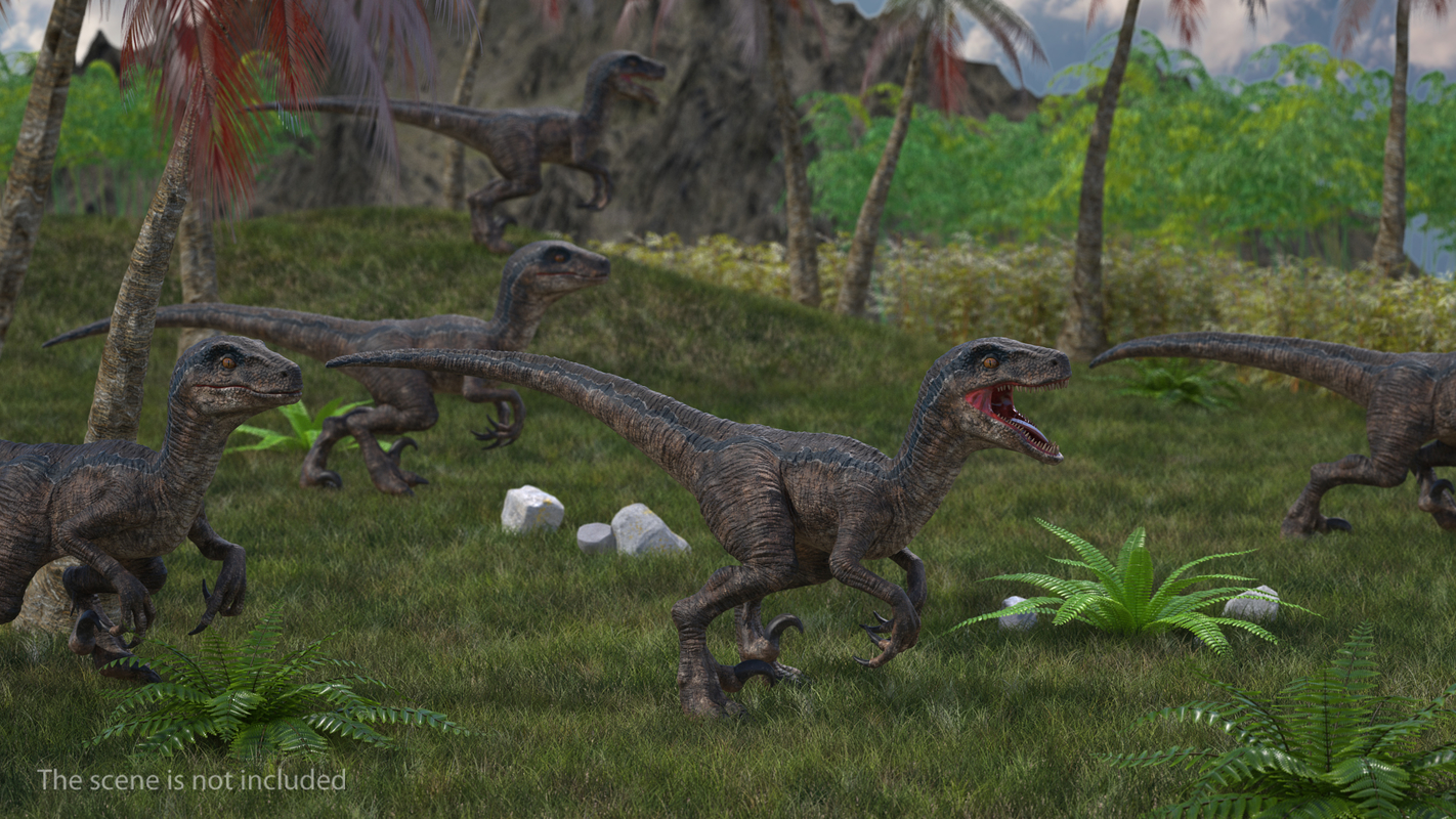 Velociraptor rigged 3D model - TurboSquid 1397683