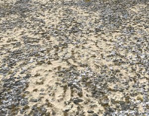 Sand and Gravel Seamless Pack PBR