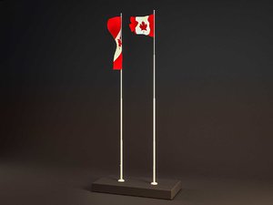 3D flag animation