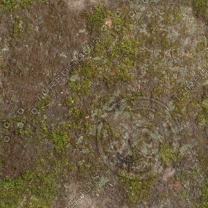 Moss_02