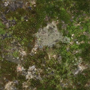 Moss_03