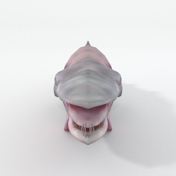 Goblin shark model - TurboSquid 1397978