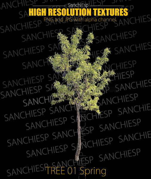 Texture PNG Tree spring texture