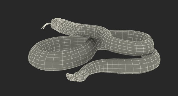 Rattlesnake snake rattle rigged 3D model - TurboSquid 1436169