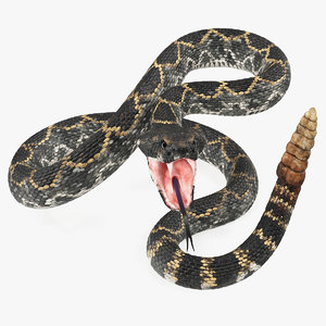 3D model dark rattlesnake attack pose