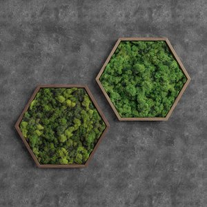 3D decorative moss