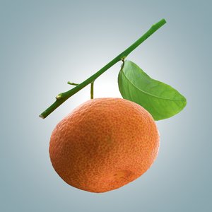 3D model mandarin 4 polly