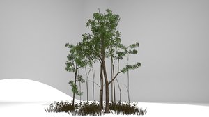 low-area trees weeds 3D model