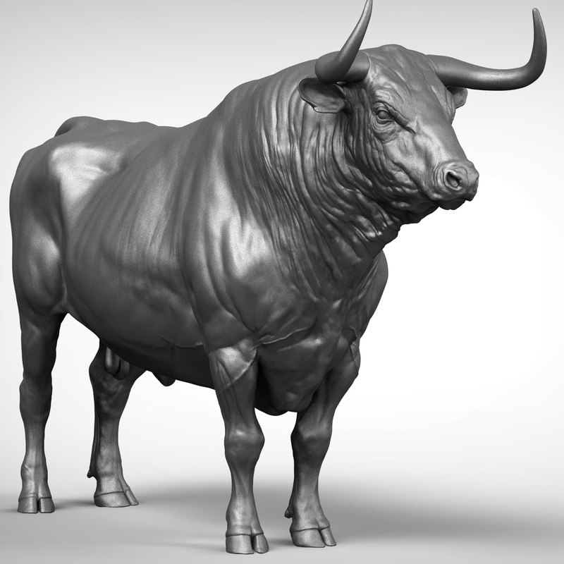 Toro bull 3D model - TurboSquid 1394459
