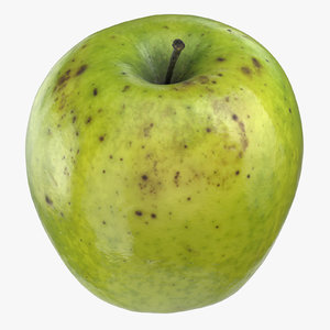 granny smith apple 05 3D model