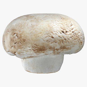 3D model white button mushroom 01
