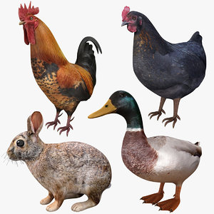 realistic farm animals model