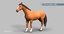 3D brown horse rig