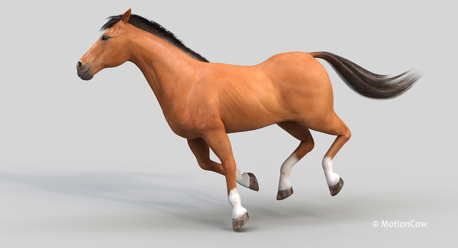 马临(布朗)3d模型