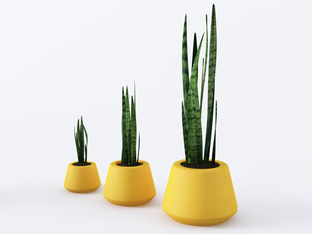 3D model yellow pots set plants TurboSquid 1400080