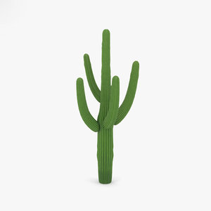 saguaro cactus plant 3D model