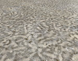 Sand and Mud Seamless PBR