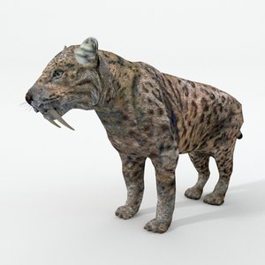 3D saber-toothed tiger model