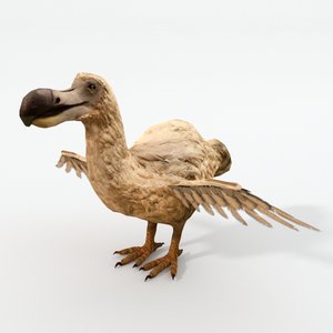 3D dodo