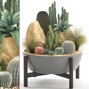 3D plants exotic cactus