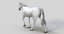 white horse animations 3D model