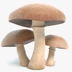 portobello mushrooms max